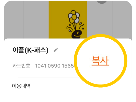 이즐k패스카드 번호 복사하기 글귀가 적힌 이미지